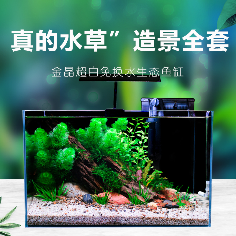 超白鱼缸莫斯树造景小型生态鱼缸