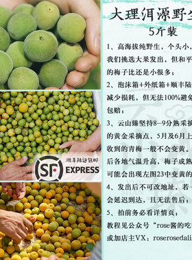 云南新鲜青梅大理洱源野生