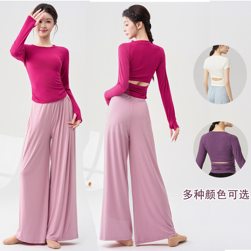 现代舞练功服套装秋冬跳舞衣长短袖露背上衣女成人古典中国舞蹈服