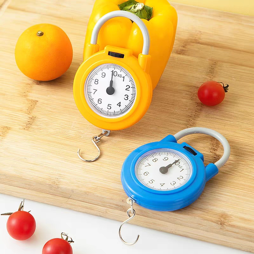 弹簧秤迷你称重手提电子秤