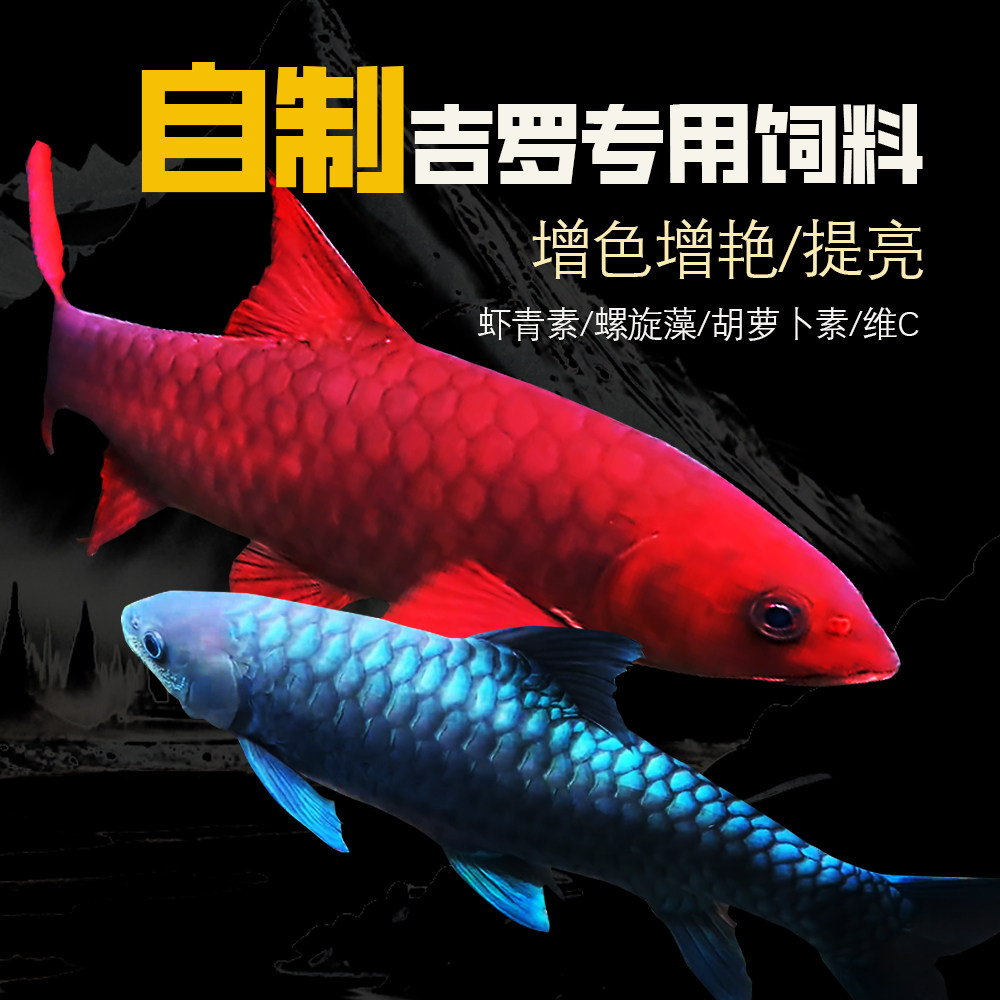 吉罗专用高蛋白鱼饲料 异口保山增色增艳 加倍虾青素螺旋藻助发色