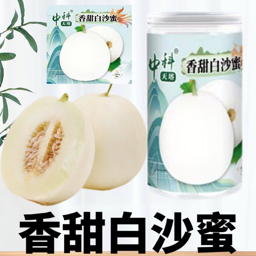 香甜白沙蜜甜瓜种籽甘肃产高产薄皮白皮香瓜种子四季水果种孑罐装