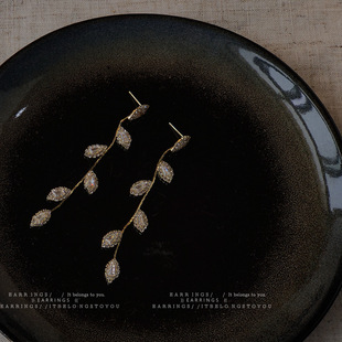 「钻石晚宴」超A精致闪耀个性高级感气质水钻流苏长款耳环耳饰女