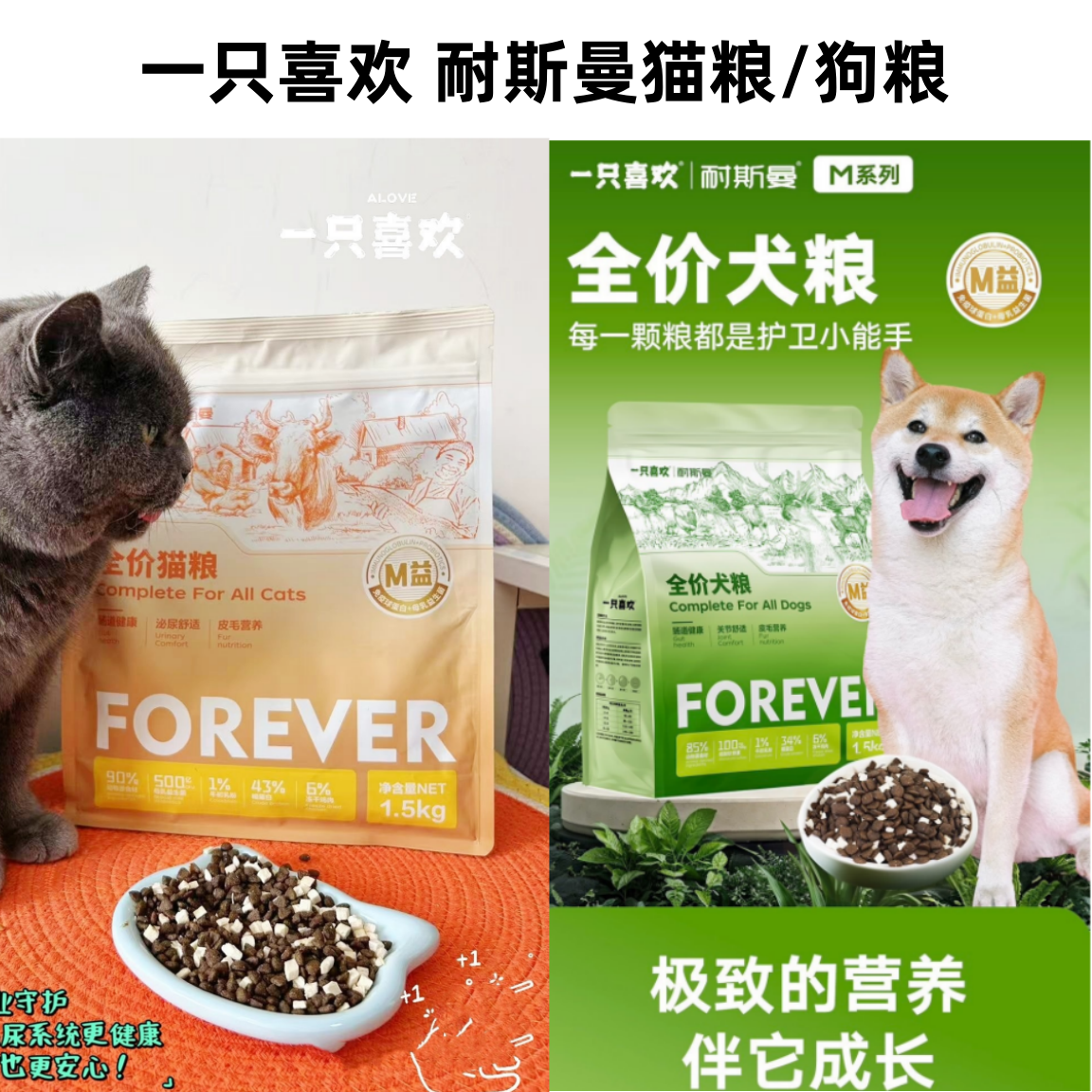 LetsM耐斯曼M系列全价狗粮全价猫粮运动免疫控制增肌肠道免疫
