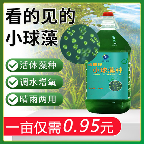 小球藻肥水培藻渔水灵复合藻种