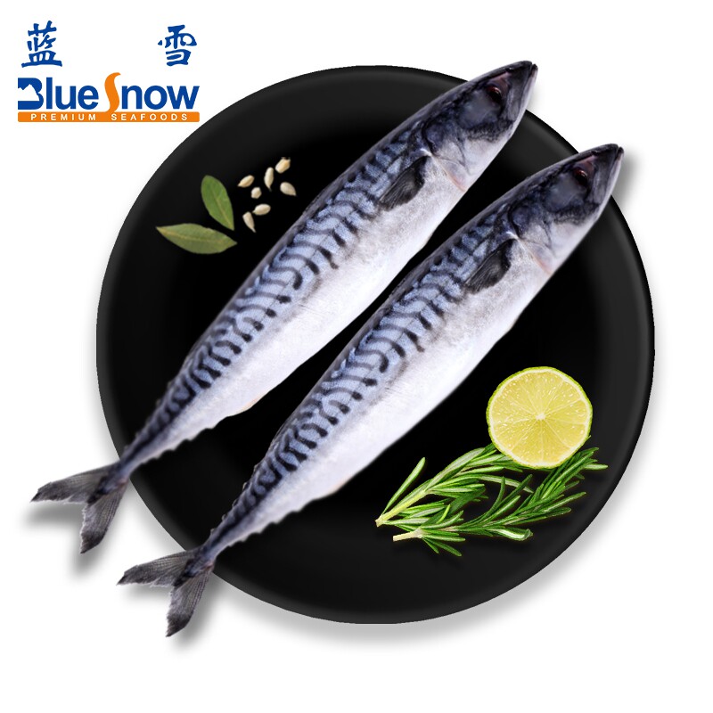 【蓝雪】挪威青花鱼2x920g 新鲜捕捞 烧烤食材 冷冻海鲜水产