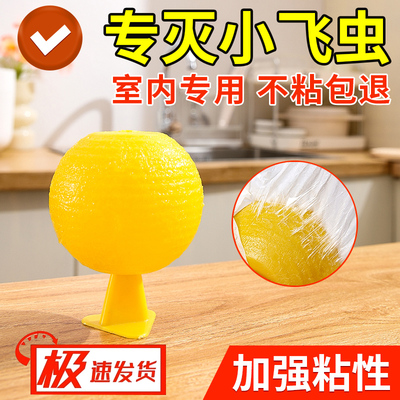 果蝇诱捕器小飞虫灭杀神器