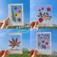 干燥花书签植物标本塑封膜秋天收集枫叶手工diy材料透明树叶黏贴