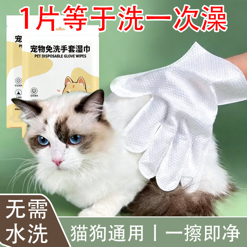 宠物免洗手套猫咪洗澡宠物湿巾狗狗干洗清洁手套杀菌除臭免洗神器,宠物/宠物食品及用品,猫狗免洗清洁,淘宝优惠券,粉丝福利购,淘宝优惠卷