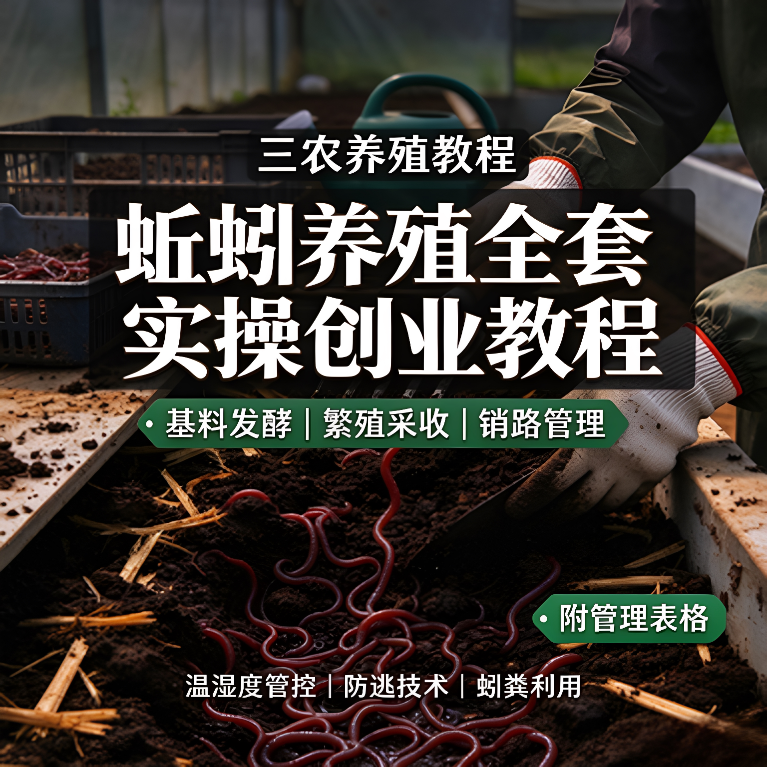 蚯蚓养殖全套实操创业技术教程基料发酵繁殖采收学习素材包