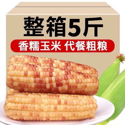 滇园傣家香糯小玉米早餐代餐