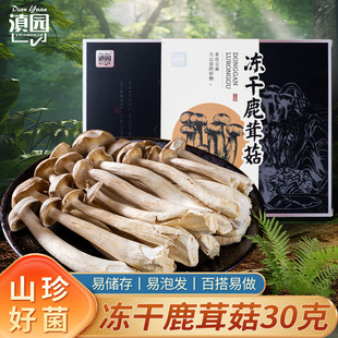 滇园 云南特产干货非特级菌子蘑菇香菇炖汤脆脆菇 冻干鹿茸菇盒装