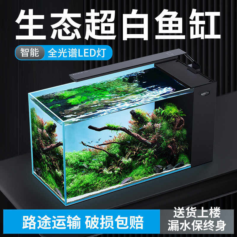 赛郎玻璃鱼缸小型客厅侧滤超白2024新款生态水族箱自循环桌面草缸