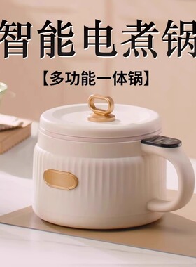 迷你电煮锅一体锅多功能家用小型一人食宿舍便携式电炒菜蒸锅火锅