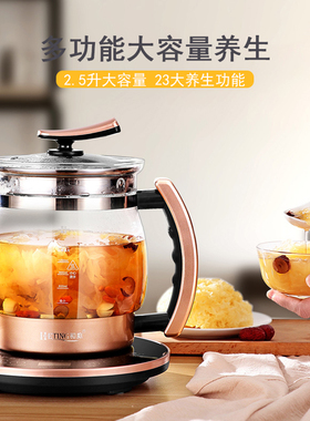 养生壶大容量家用多功能2升3升煮茶壶煮水炖煮一体2023新款熬药