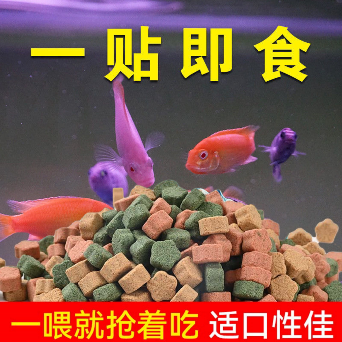 红虫贴片鱼食龟鳖通用饲料孔雀鱼灯科燕鱼小型热带鱼观赏鱼丰年虾