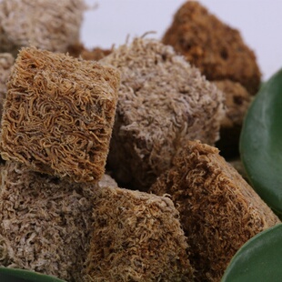 红线虫鱼食冻干红丝虫水蚯蚓小型观赏鱼饲料孔雀鱼灯科龟粮丰年虾