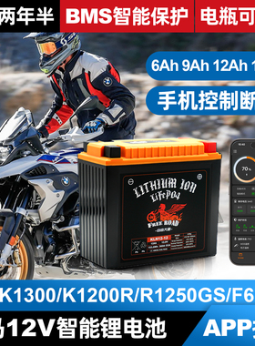 适用于宝马摩托车12V锂电池R18水鸟R1250GS智能锂电瓶K1200GT拿铁
