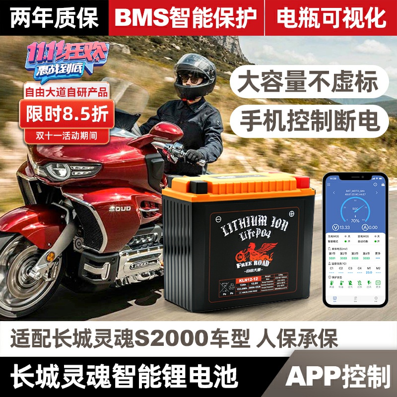 适用于长城灵魂S2000智能锂电瓶