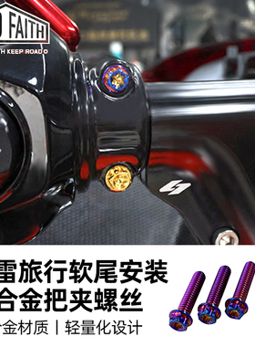ROADFAITH适用哈雷鲈鱼夹螺丝 大道公路车把夹具钛合金螺丝