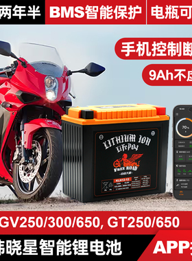 自由大道适用于大韩晓星GV250/300/650锂电瓶GT250/650超级电池