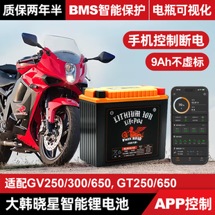 自由大道适用于大韩晓星GV250/300/650锂电瓶GT250/650超级电池
