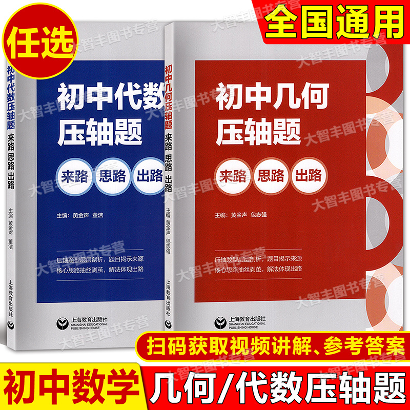 初中代数+几何压轴题来路思路出路 初中数学同步训练题库中考压轴题高效专项训练解题技巧初一初二初三适用扫码获取视频讲解和答案