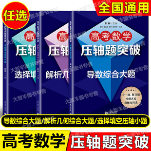 任选高考数学压轴题突破选择填空压轴小题解析几何导数综合大题任选上海教育出版社彭林主编会一题解百题