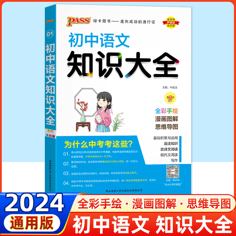 2024正版包邮绿卡图书初中语文知识大全七八九年级初中中考语文复习