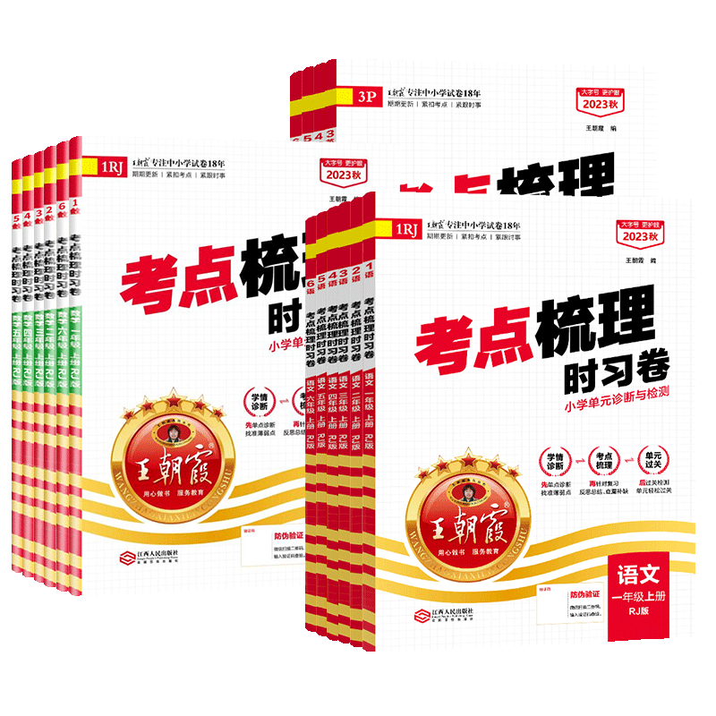 王朝霞考点梳理时习卷