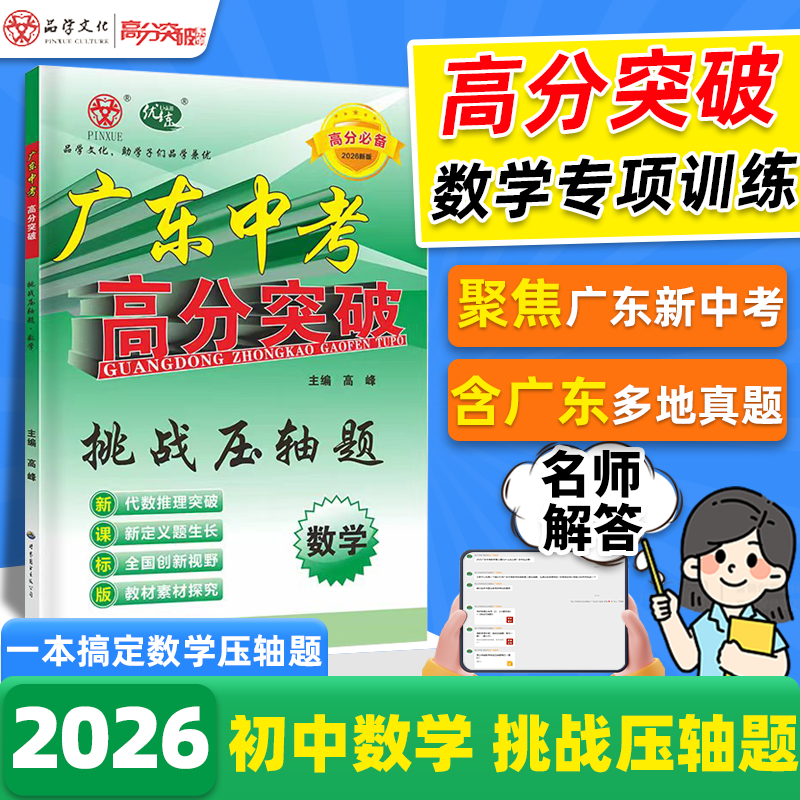 广东中考高分突破数学挑战压轴题