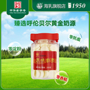 200g牛奶片不添加植脂末香精纯奶片内蒙特产 海乳牌 原味奶贝