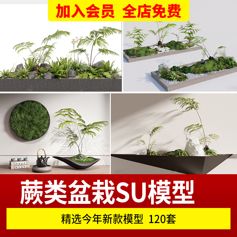 蕨类盆栽植物小品绿植SU