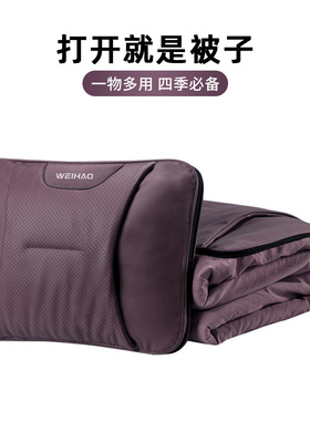 适用于零跑T03/C10/C11/B01小鹏汽车抱枕被多功能高档紫色腰靠被