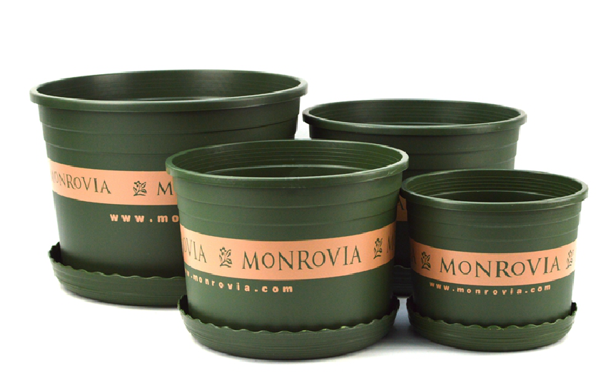 环球新款矮胖加仑盆浅盆 多肉绿萝塑料花盆种菜种花圆口月季花盆