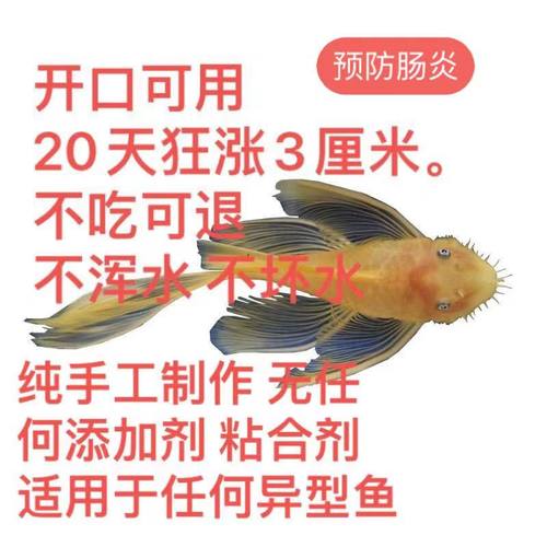 薄片中国大陆异型鱼真材实料饲料