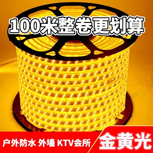 金黄光户外防水220V灯带led灯条