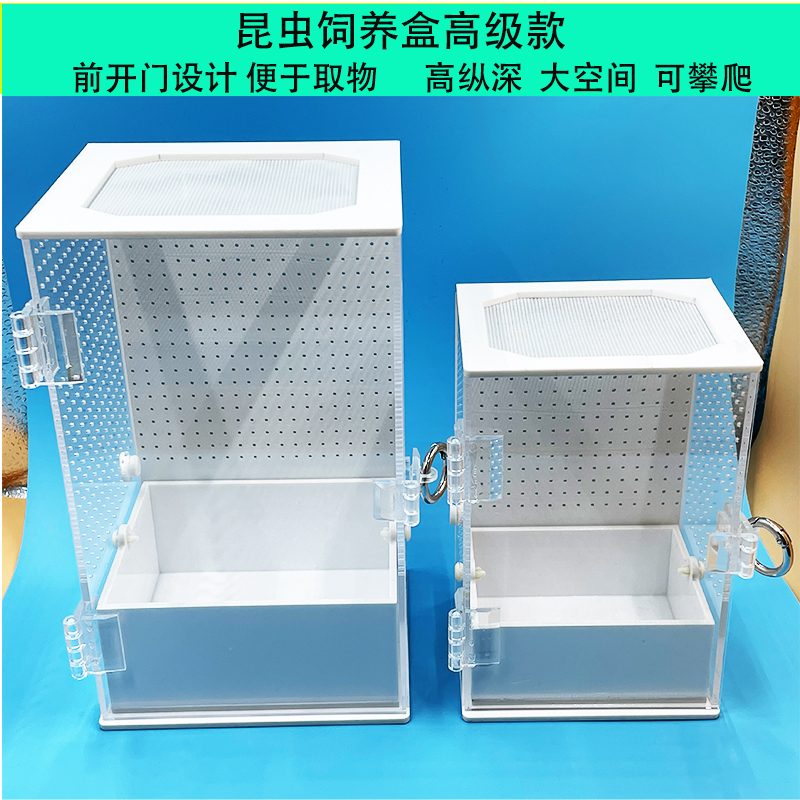 螳螂饲养盒鸣虫生态盒树蛙巨拟叶螽昆虫蝴蝶跳蛛蛐蛐蝈蝈亚克力