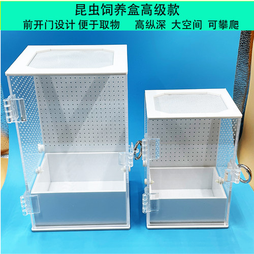 螳螂饲养盒鸣虫生态盒蜘蛛树蛙巨拟叶螽昆虫跳蛛蛐蛐蝈蝈亚克力