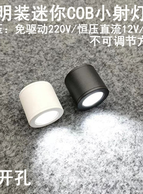 220V12V24V明装洗墙迷你小射灯