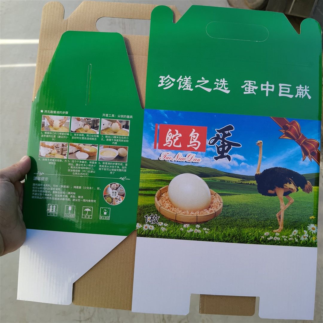 鸵鸟蛋专用礼盒空礼盒含蛋托