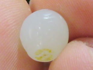 包真玉铭堂新疆和田白玉带皮籽料微雕猴头配饰多宝串手链吊坠新品