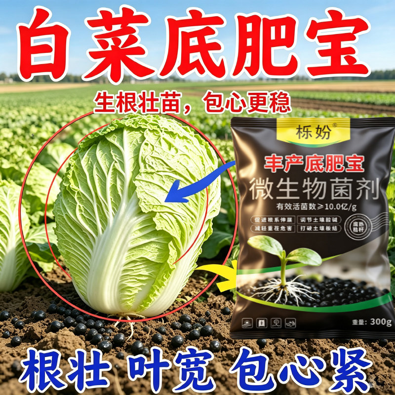白菜提苗爆长剂白菜生根壮苗液长破天叶面肥白菜根系粗壮快速生长