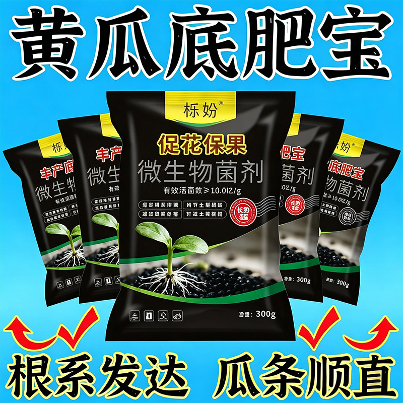 黄瓜底肥宝微生物菌剂促根壮苗防病增产蔬菜底肥