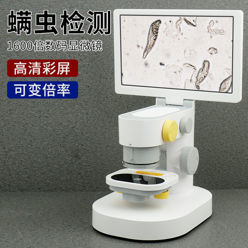 拜斯特显微镜大屏数码