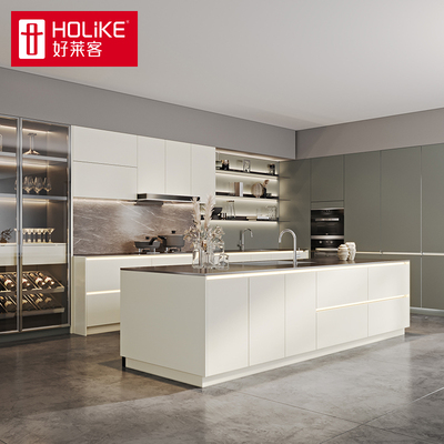 好莱客整体橱柜定制 不锈钢防潮柜体置物柜轻奢厨房厨柜套餐定做