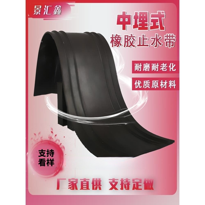 国标中埋式橡胶止水带651型背贴钢边式止水带外贴可卸闸门P型定制