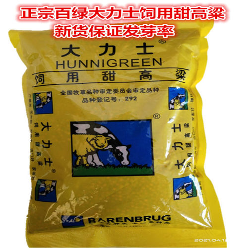 百绿饲用牛羊青贮大力士甜高粱