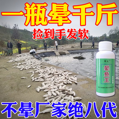 特效晕醉鱼鱼塘鱼药麻鱼鱼神器醉鱼让鱼用不伤晕的麻醉专用药清塘