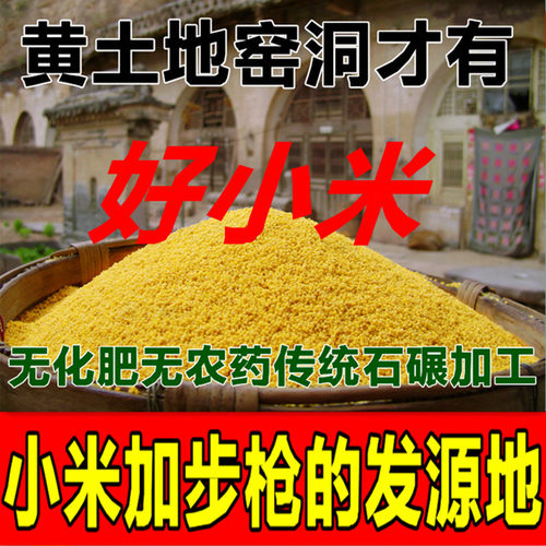 山西小米正宗晋谷黄小米月子米